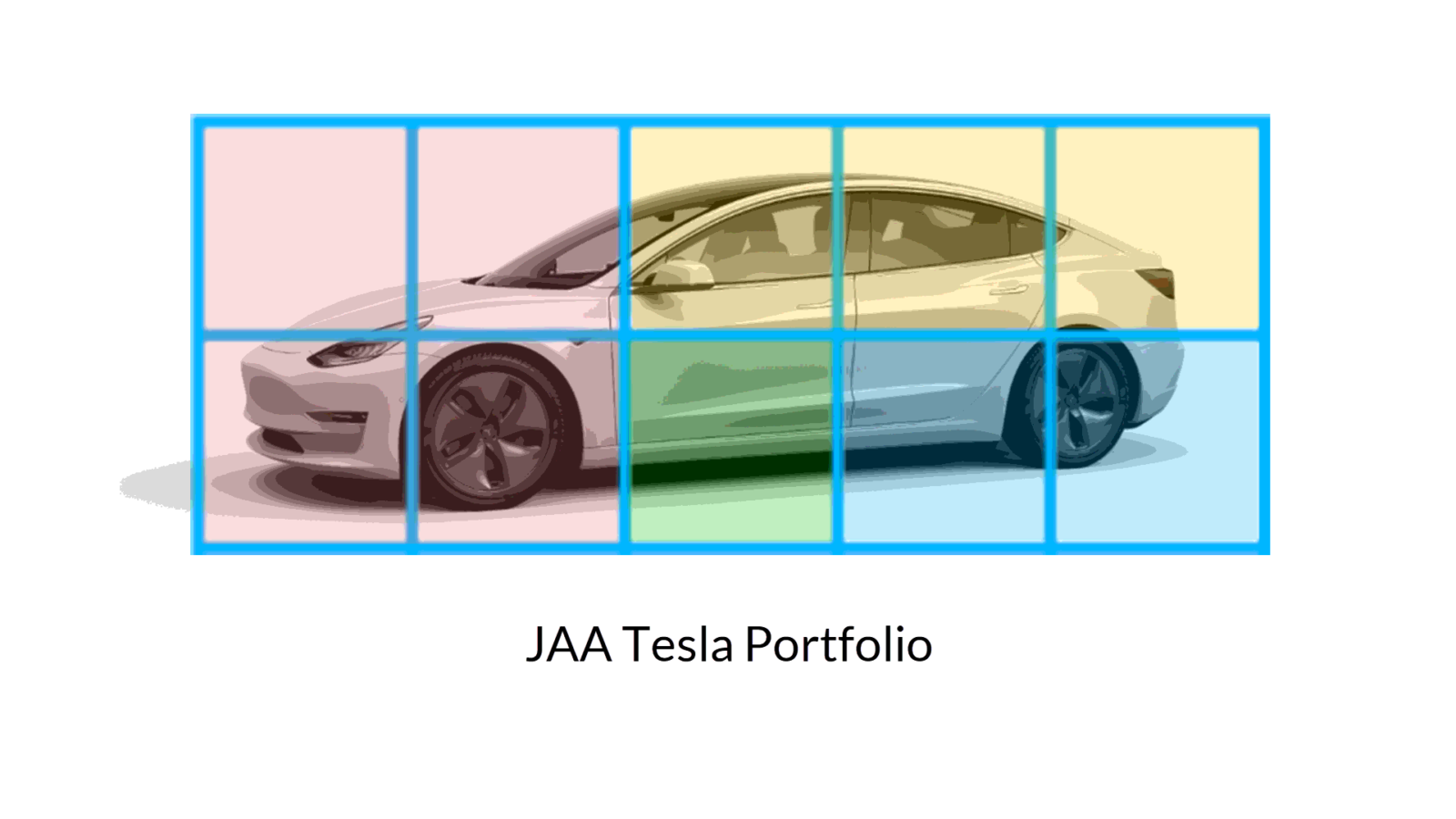 JAA Tesla shared-ownership vehicles